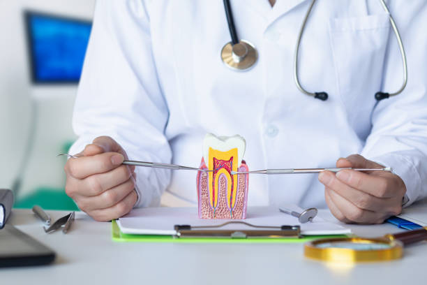 Best Emergency Root Canal Treatment in Honaker, VA